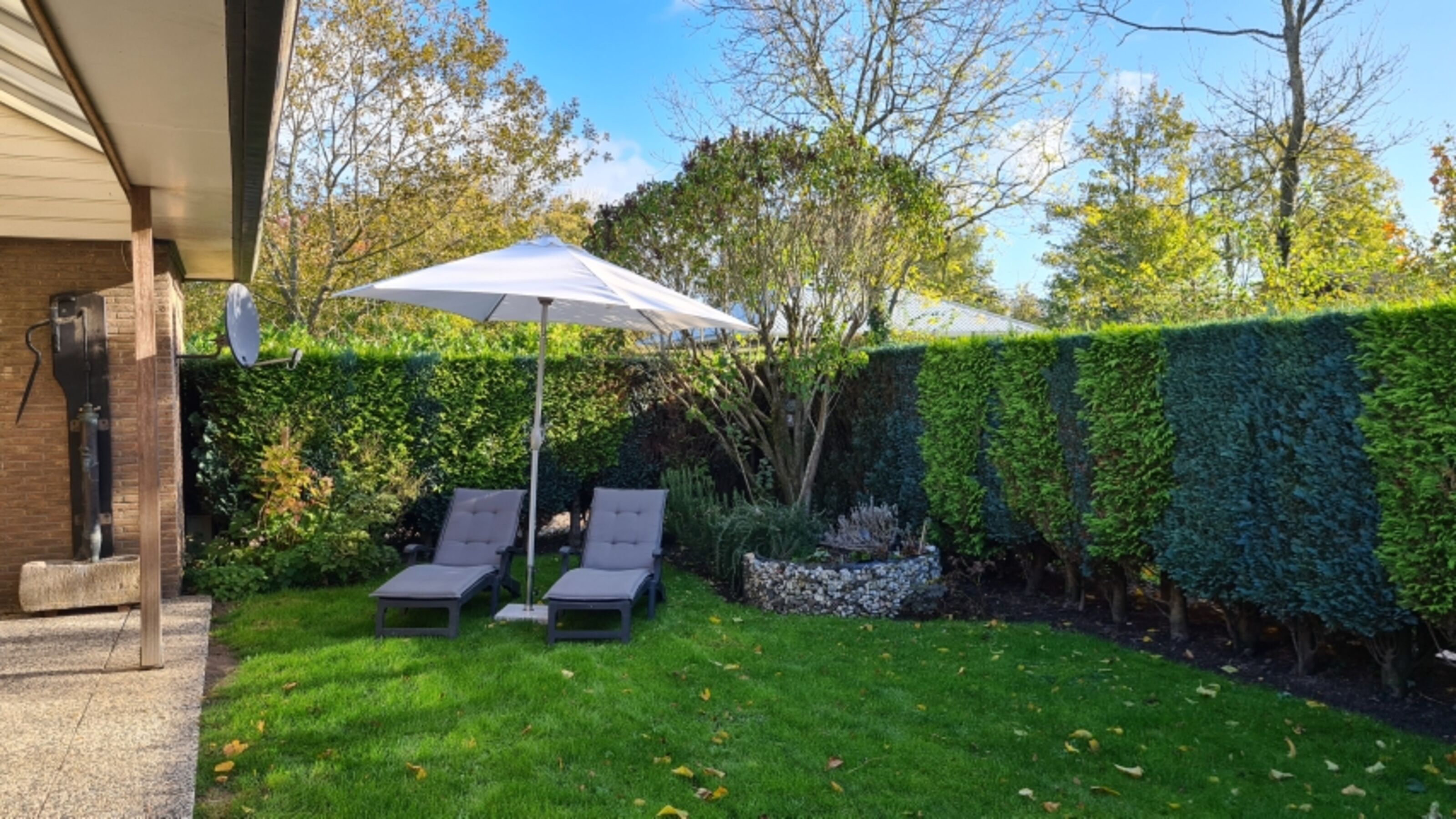 Garten vor Terrasse