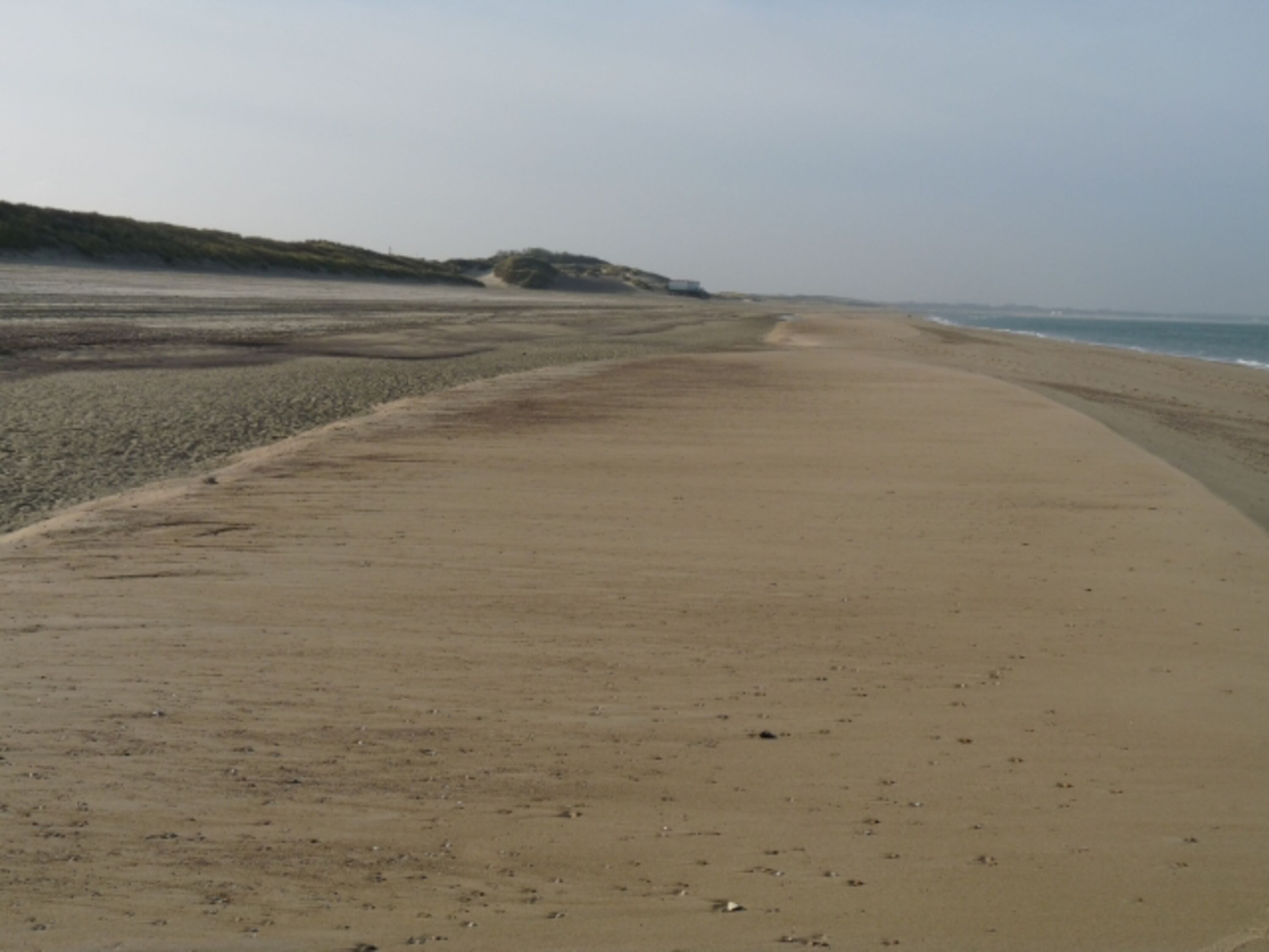 Hundestrand
