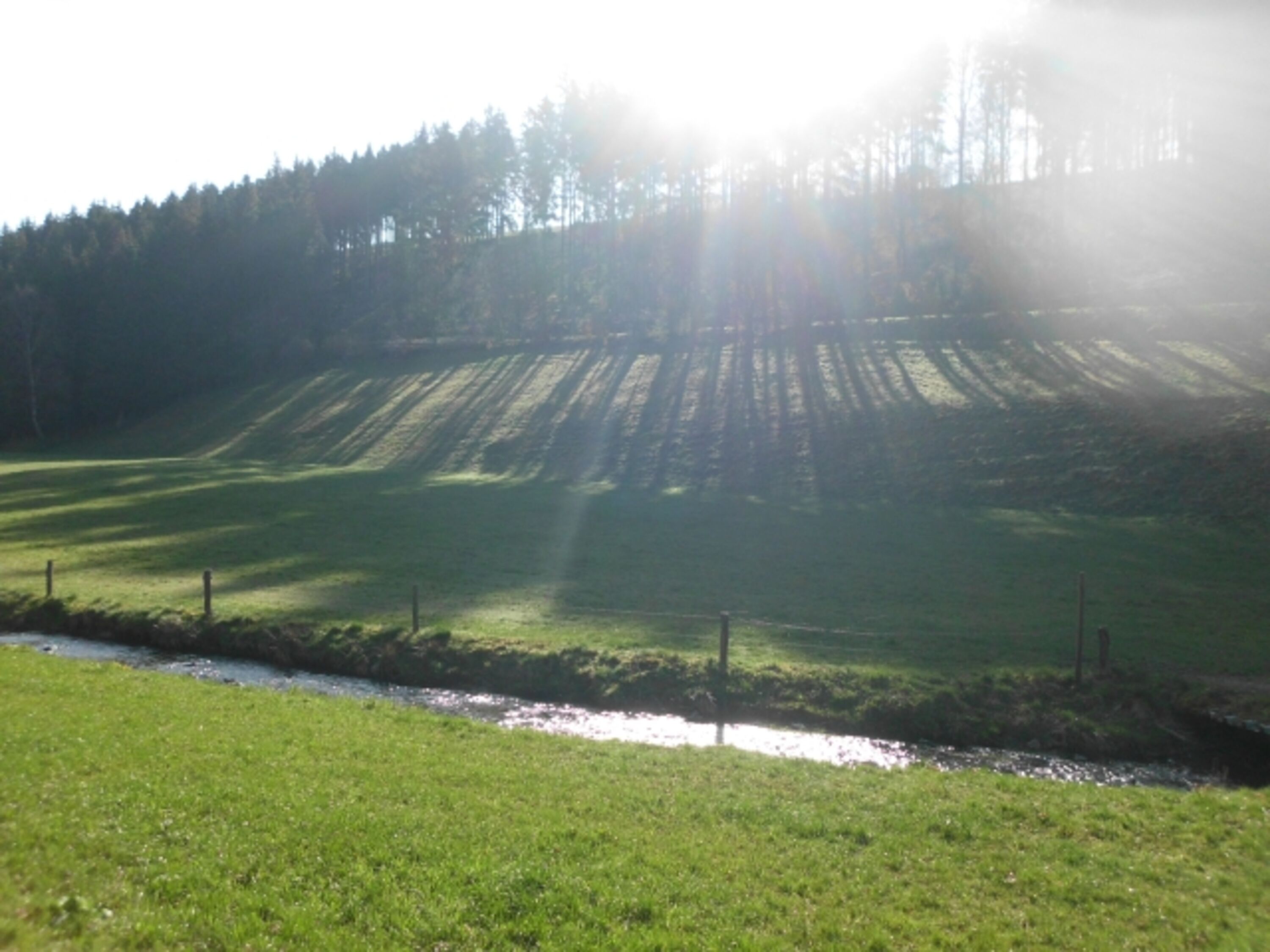 Bild 18