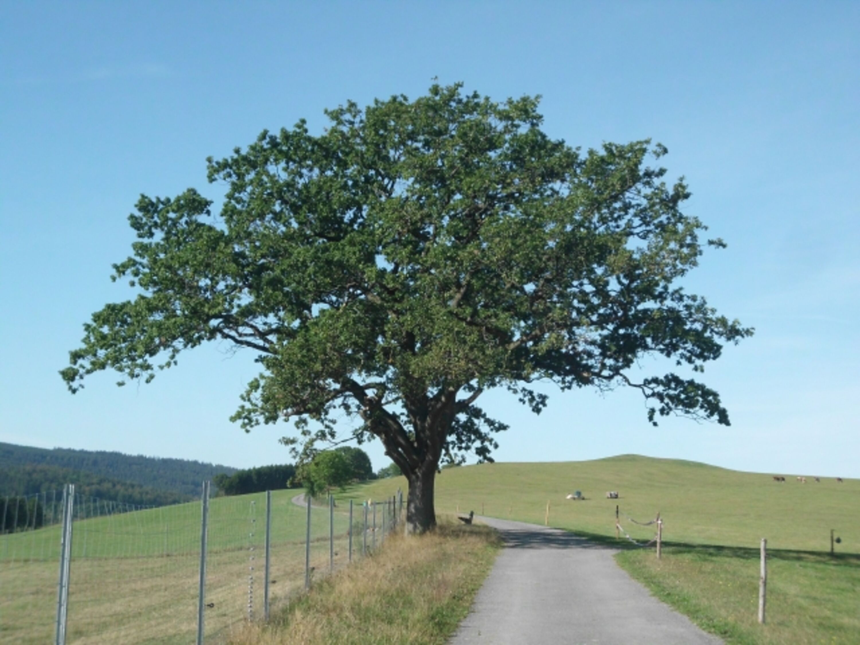 Bild 15