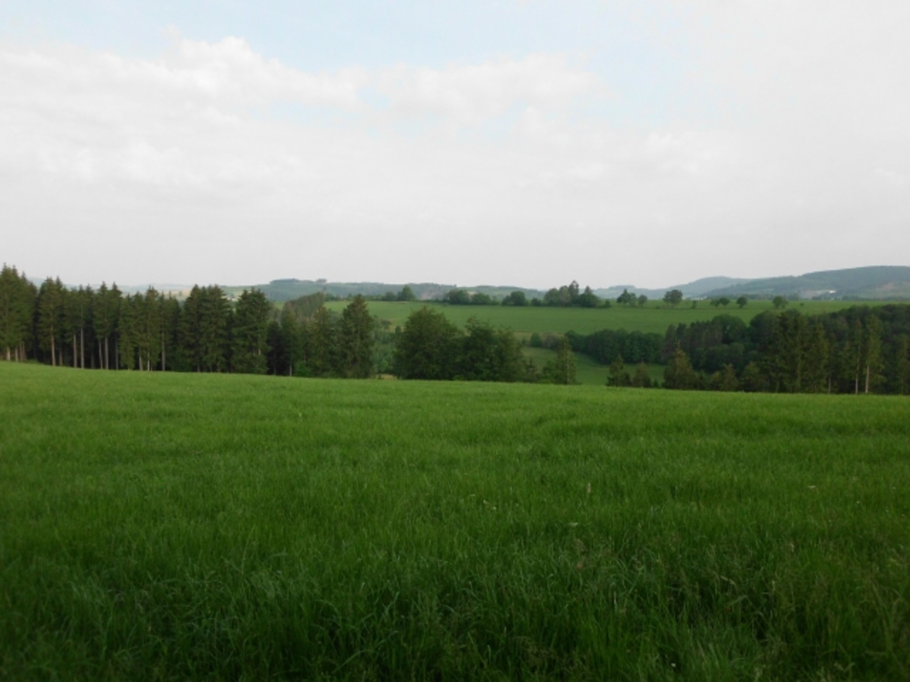 Bild 26