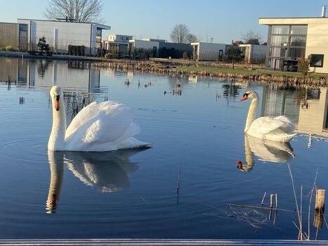Wintermorgen  im Park 