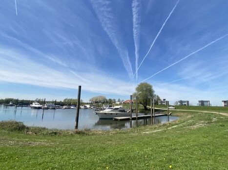 Blick vom Hafen Richtung Park