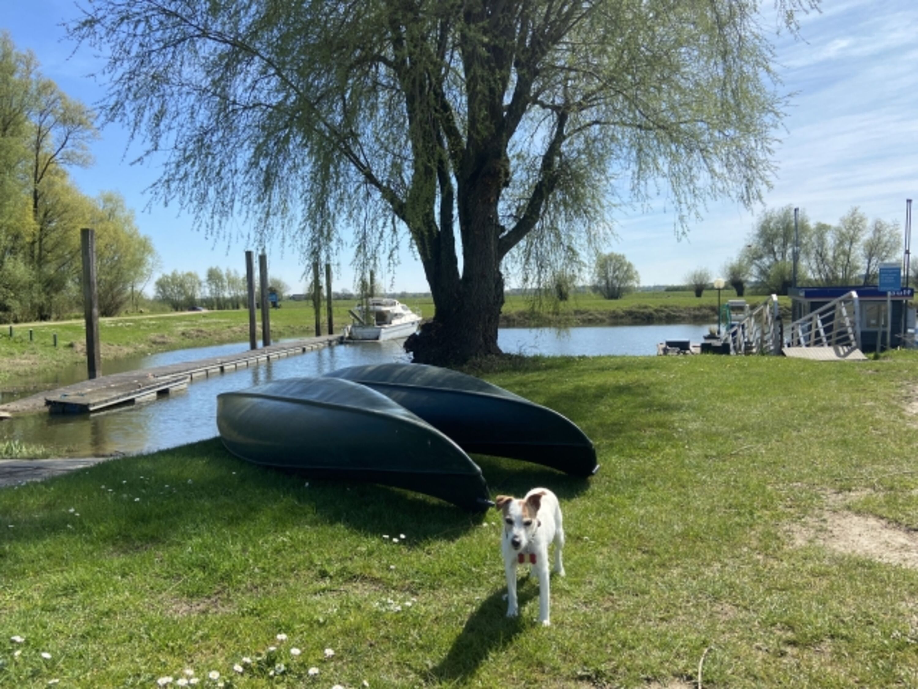 Paddeln mit Hund ?