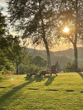 Garten mit Liegestühlen
