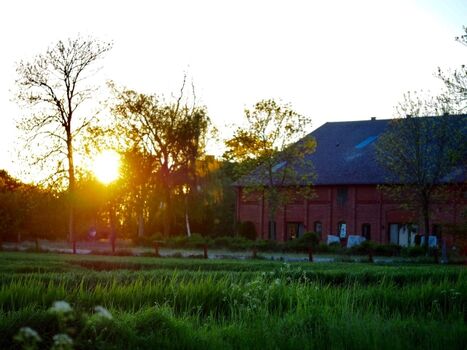 Scheune von der Strasse aus