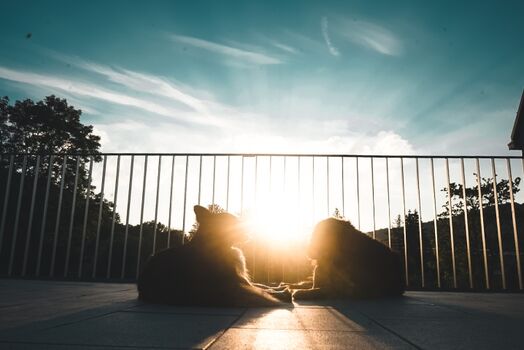 Die Terrasse ist zusätzlich sicher umzäunt