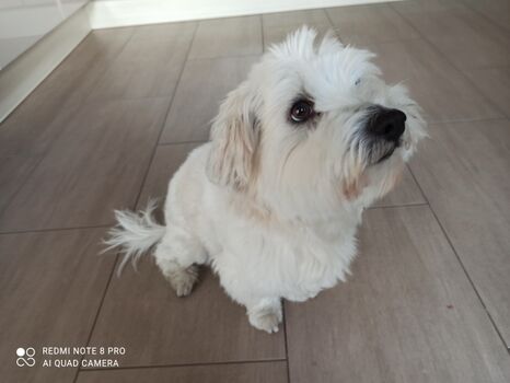 Der feine Herr Herr Schrödicke aus Woltersdorf