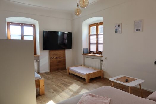 ein großer Fernseher und ein orthopädisches Hundebett