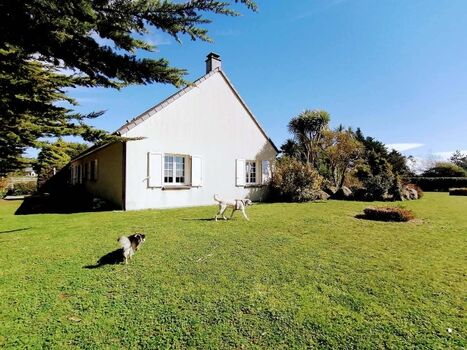 Die Meerseite des Seeserns