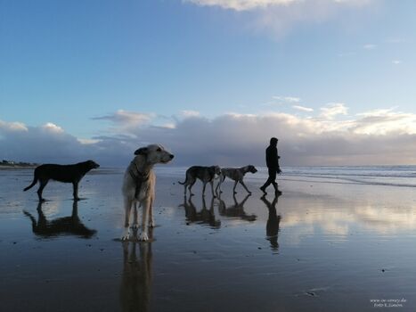 Traumhafte Spaziergänge am Lindberghplage
