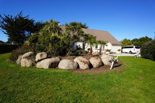 Das mediterrane Palmenbeet spendet Schatten