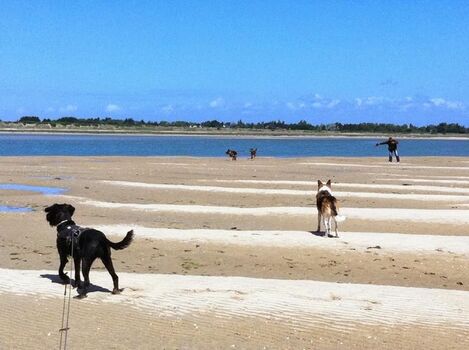 Und an anderen Traumstränden (hier Saint Germaine sur Ay)