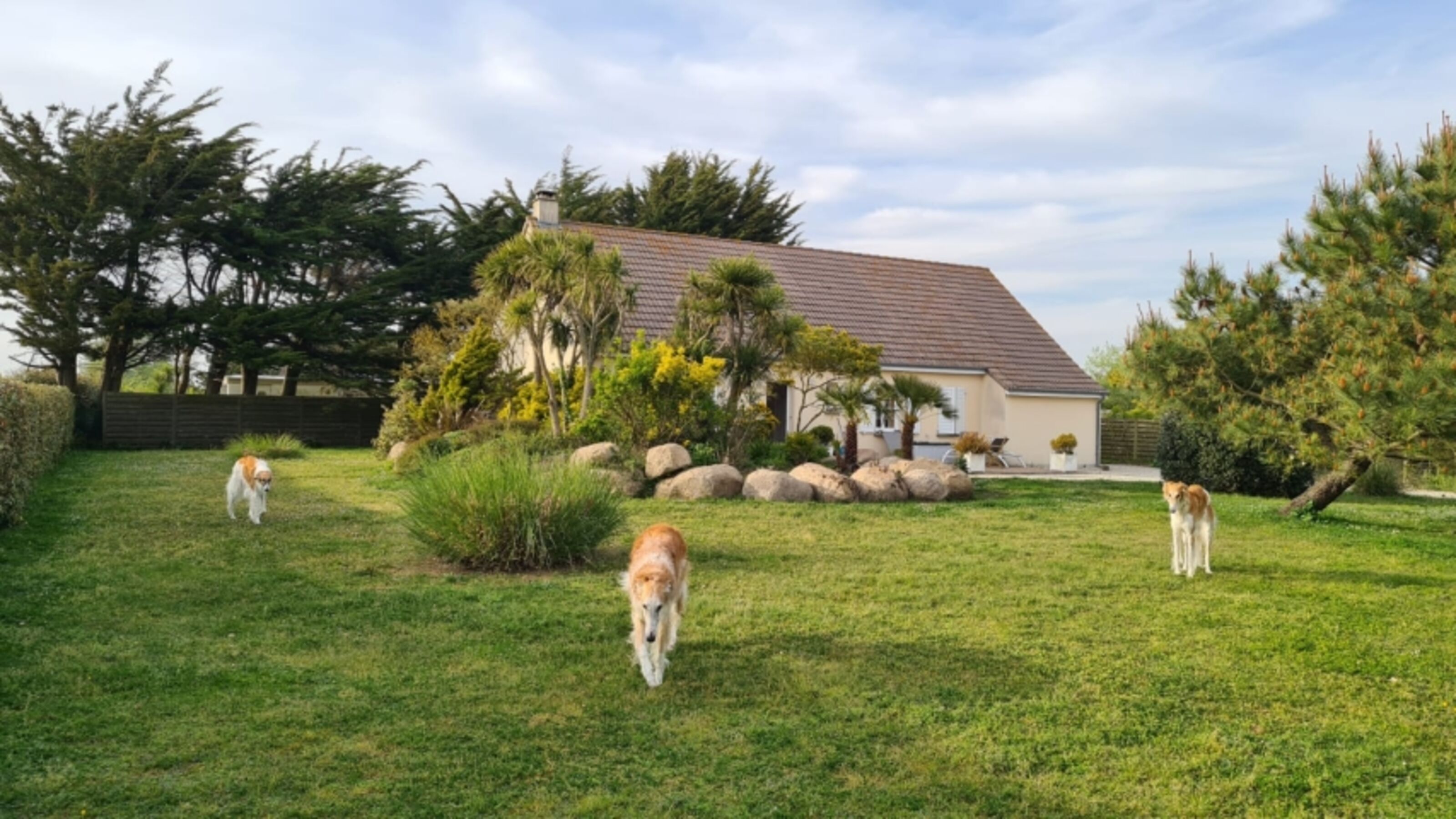 Haus Seestern, nur 350m zu Fuss zum Meer, 2'000m2 mediterraner Garten
