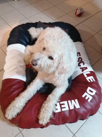 Hauseigenes Hundebett