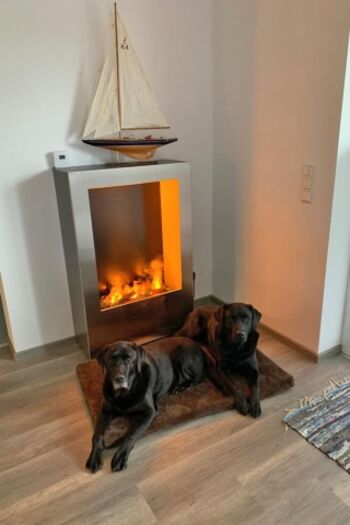 Unser Hunde lieben den Magma-Ofen