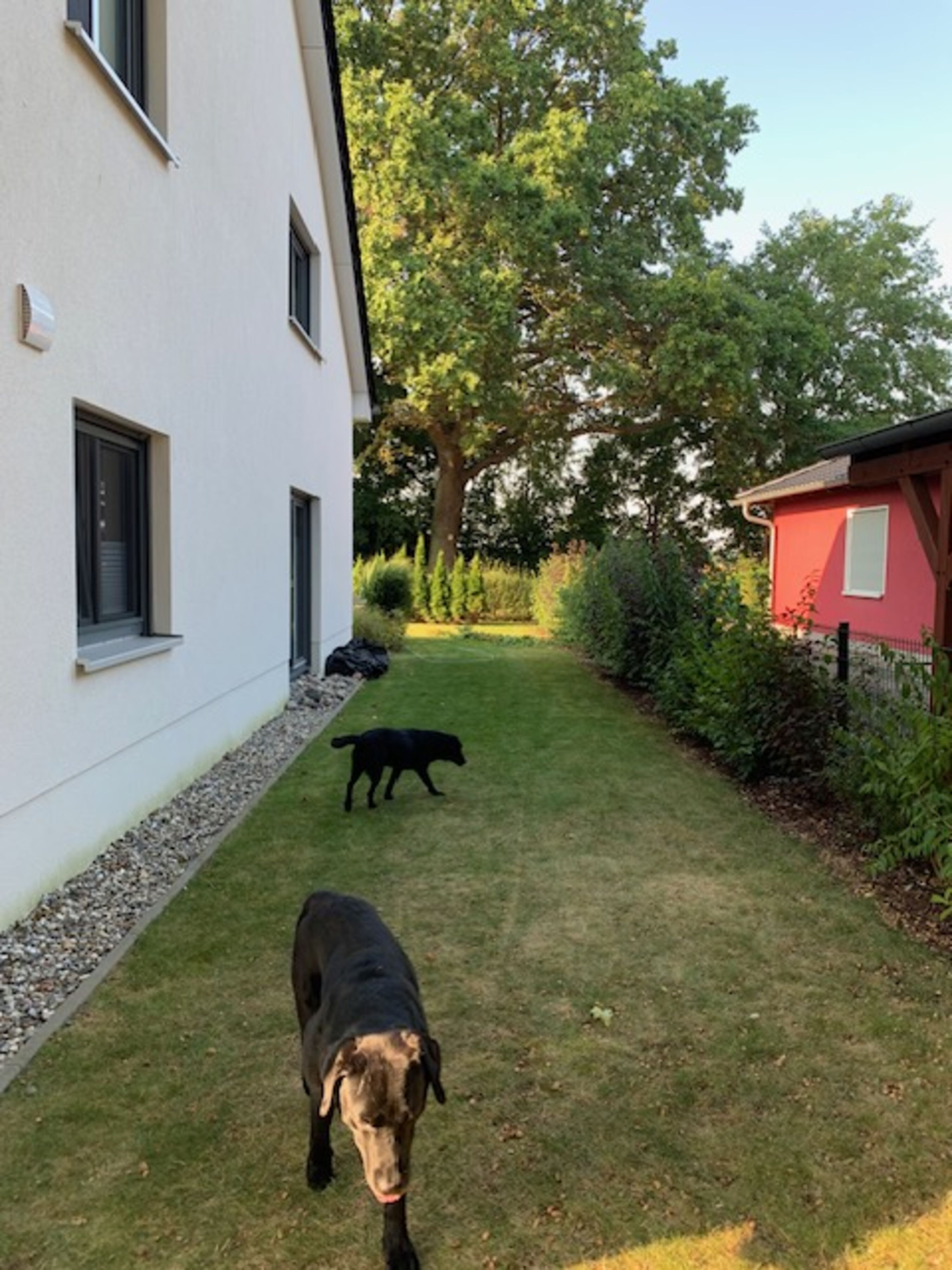 seitl. Garten