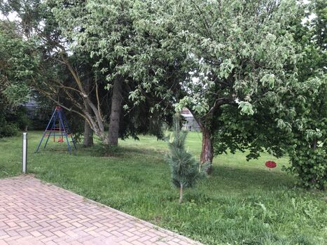 Obstbäume zum ernten im September 