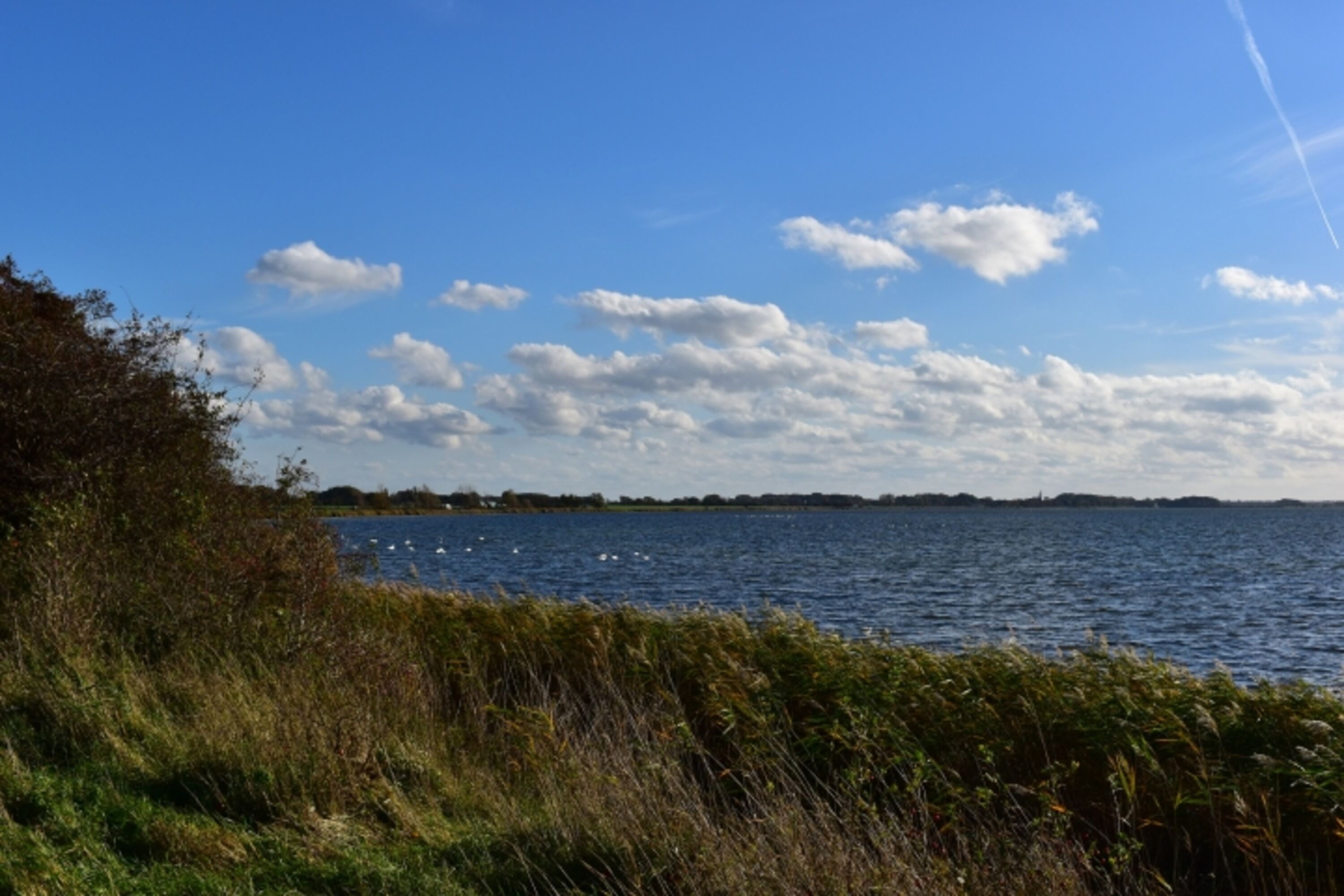 Bild 17