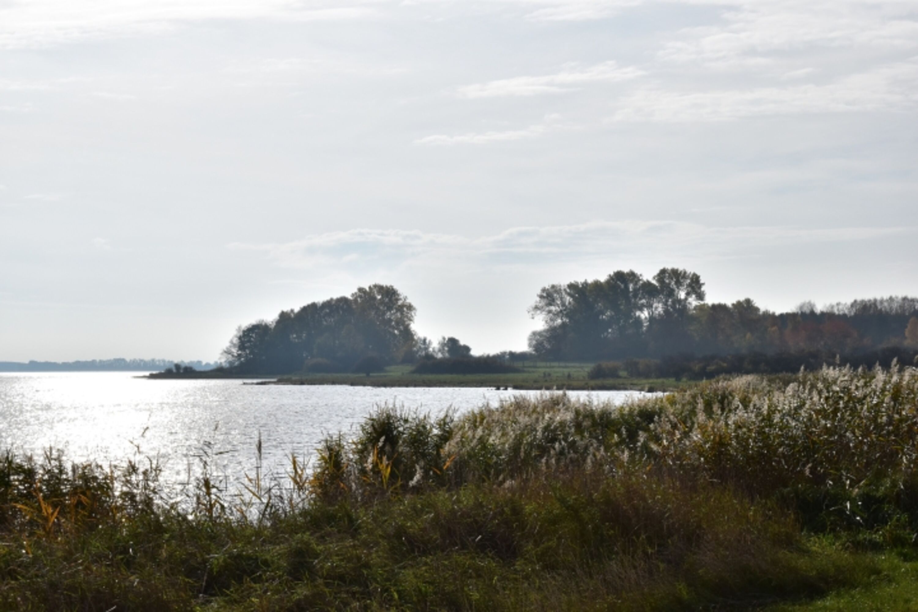Bild 19