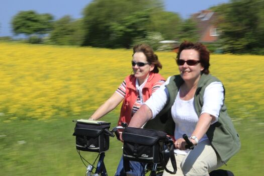 Fehmarn mit dem Rad erkunden