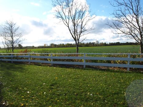 Blick von der Terrasse