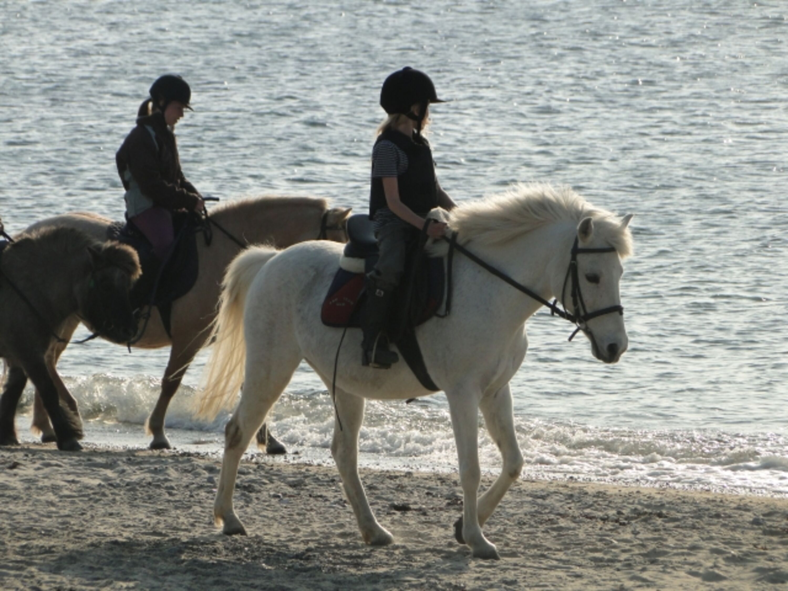 Bild 11