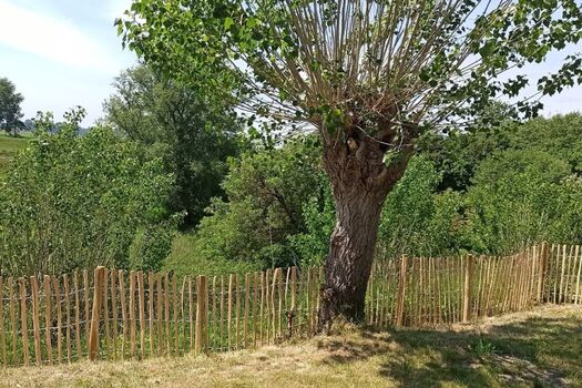 Blick aus dem eingezäunten Garten ins Naturschutzgebiet