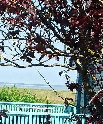 Blick aus dem Elternschlafzimmer