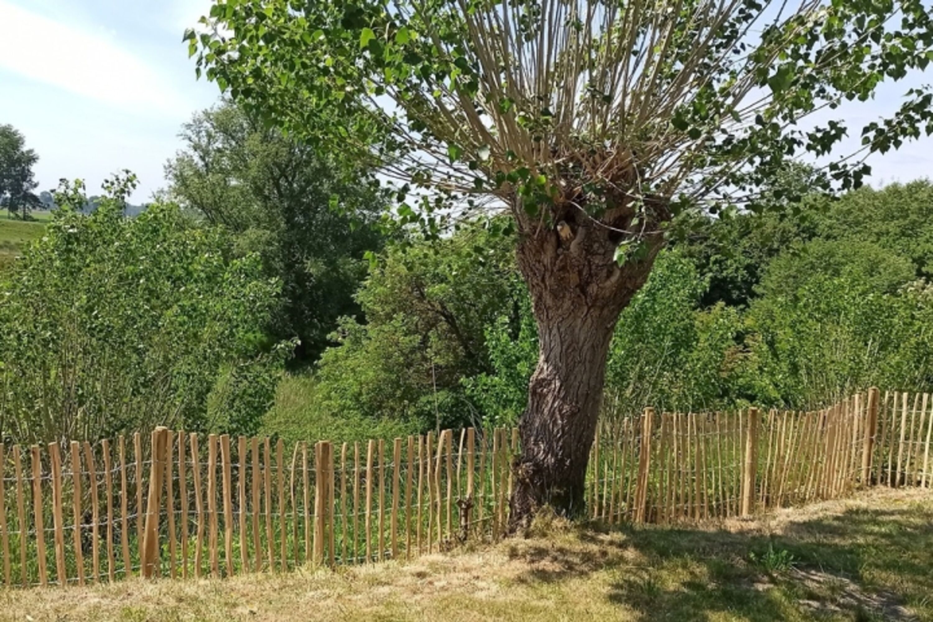 Blick aus dem eingezäunten Garten ins Naturschutzgebiet