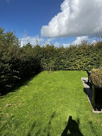 Garten komplett eingezäunt 