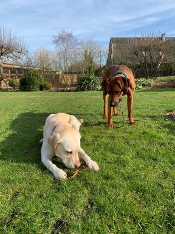Feierabend im Garten