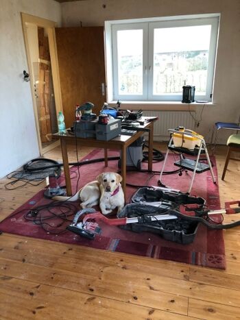 Leni möchte immer mit dabei sein