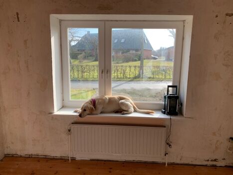 Pause von den Renovierungsarbeiten