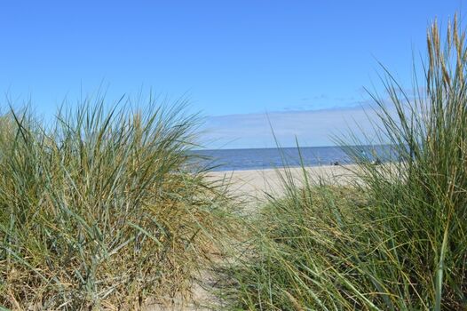 Blick durch die Dünen