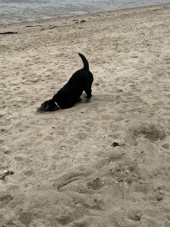 einmal pudern bitte :)