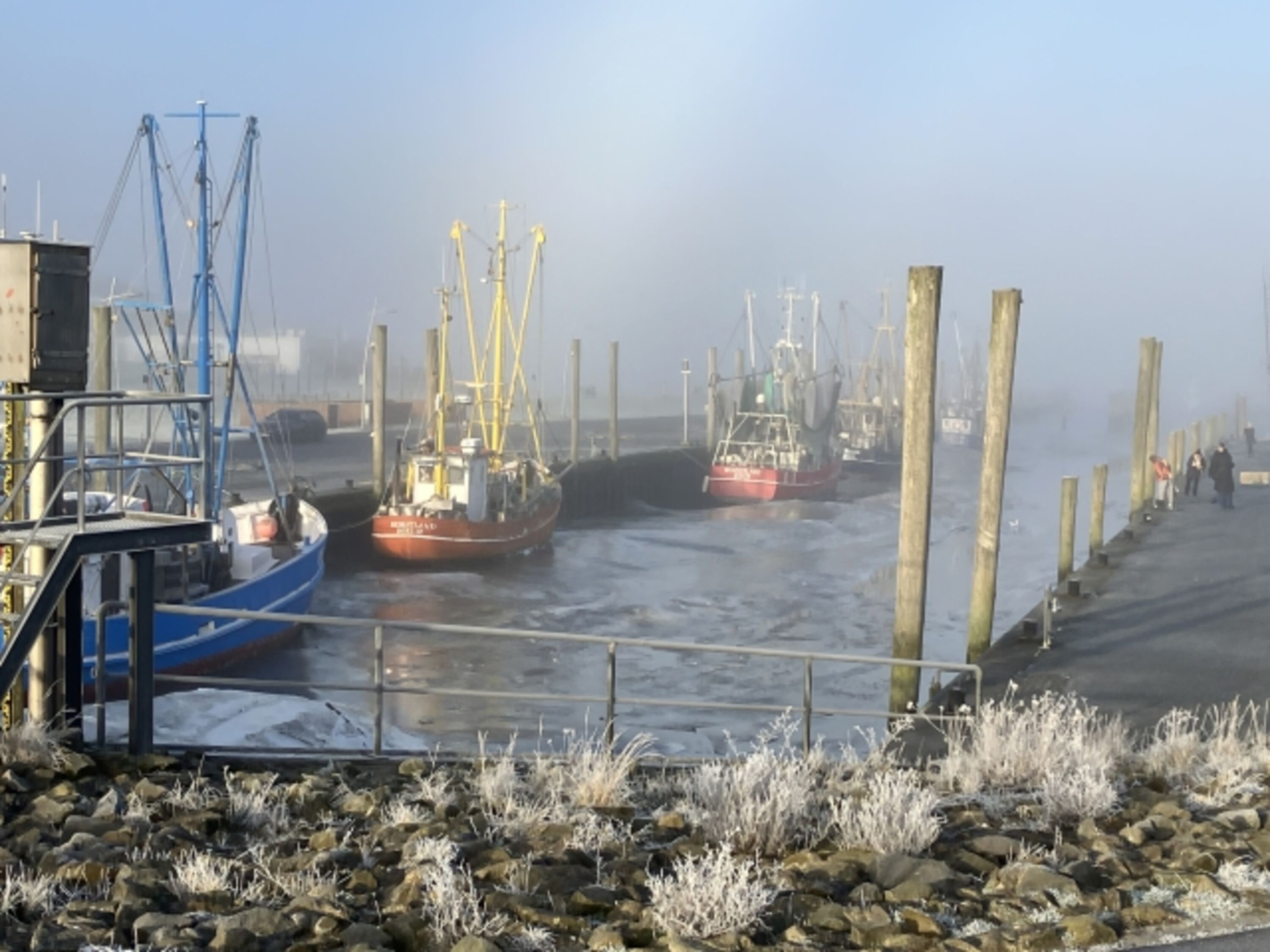 Kutterhafen