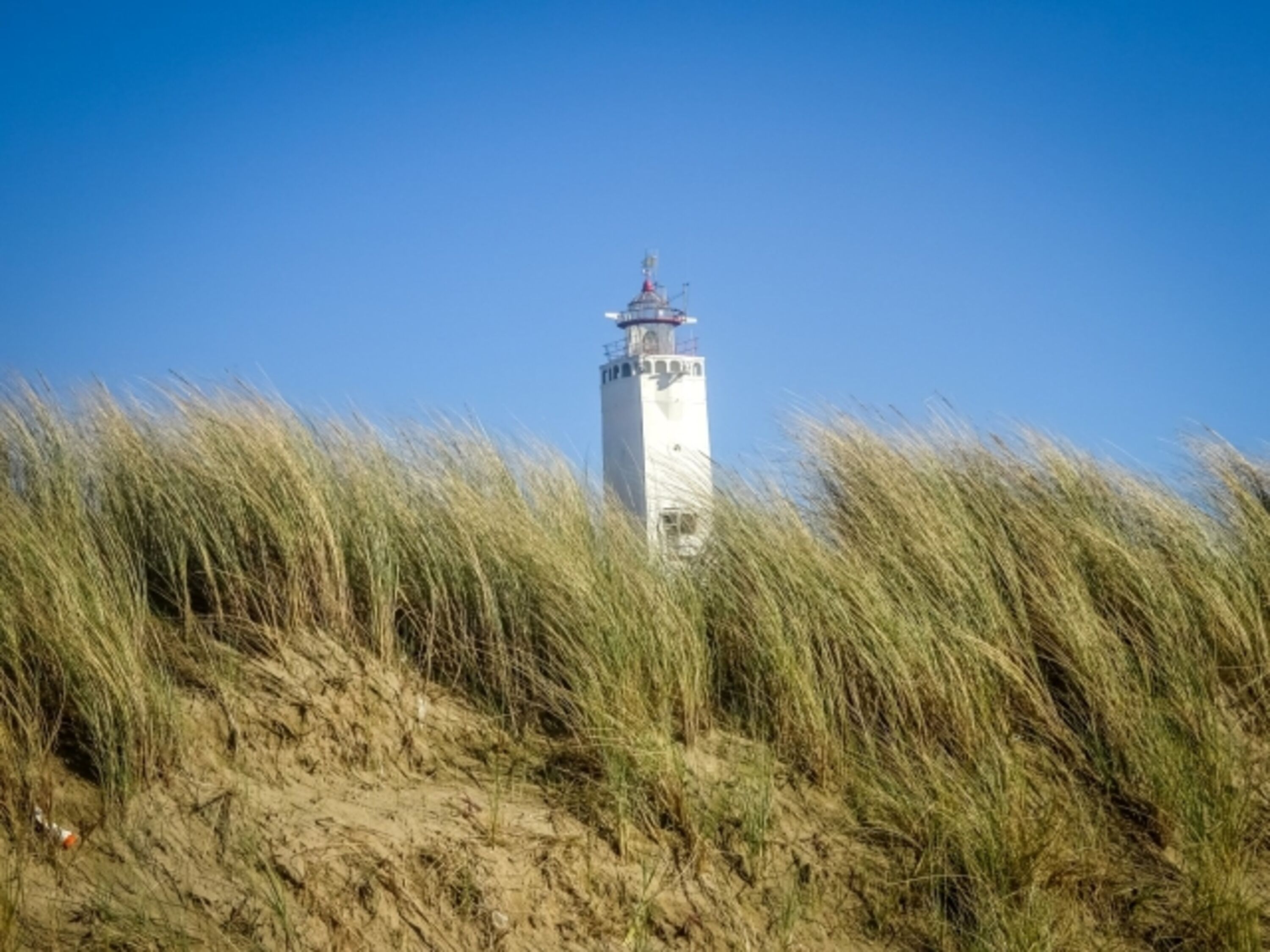 Bild 23