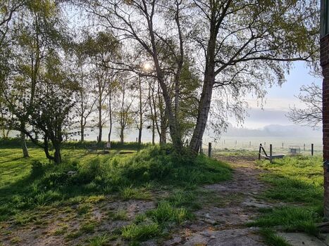 Morgenstimmung im Garten