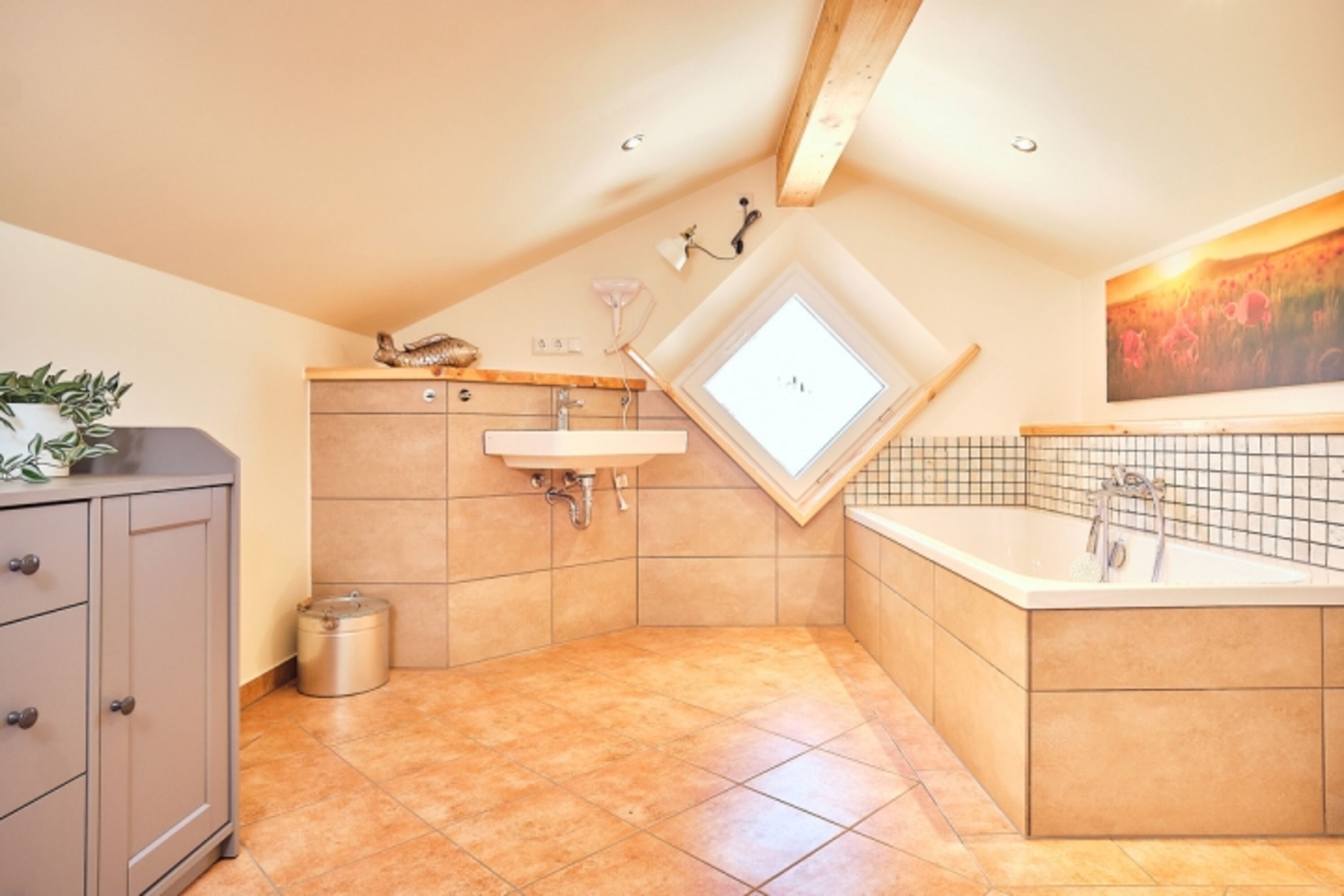 Bild 19