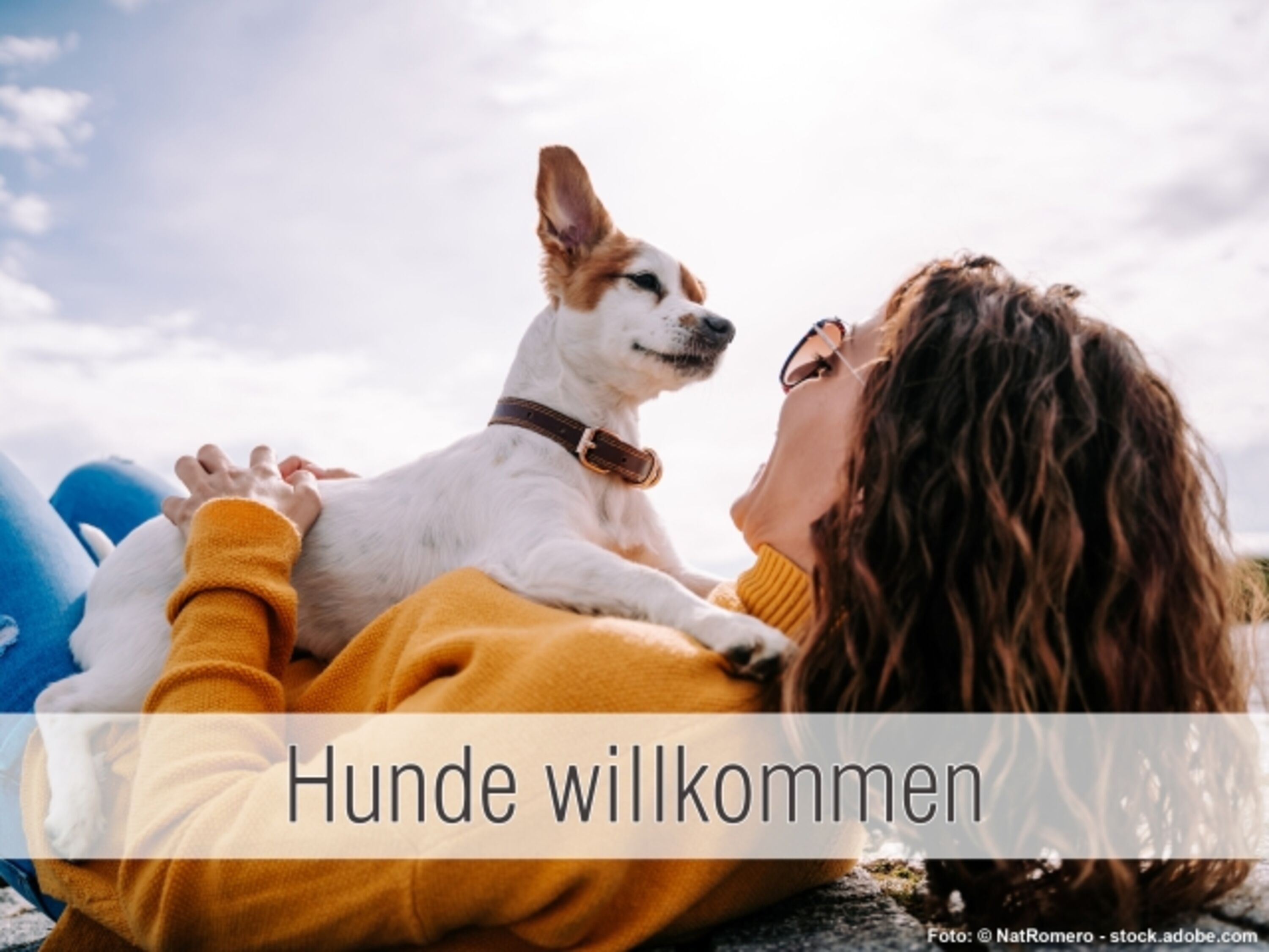 Bild 18