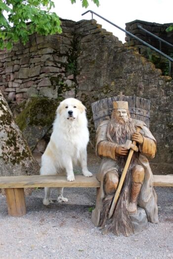 Besuch beim alten Barbarossa