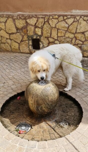 Tolle Brunnen in der Stadt