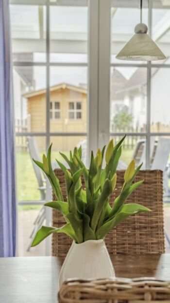 Blick in den eingezäunten Garten