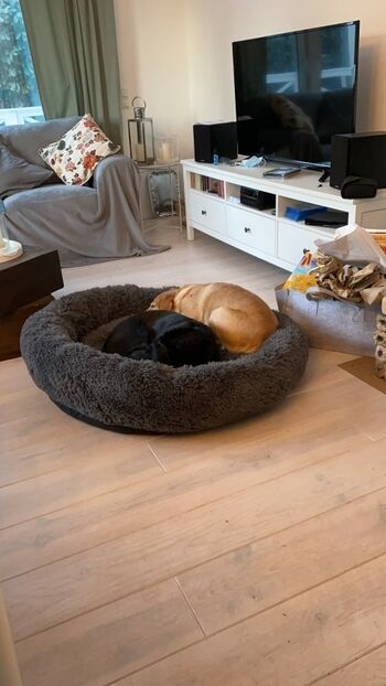 Ein Dank an unsere beiden Models die hier gemeinsam entspannen