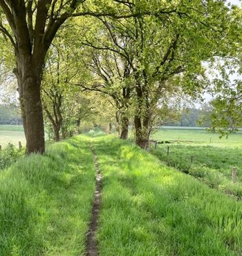 Einer unserer Lieblingswege