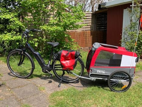 Leih E-bike mit Hundeanhänger