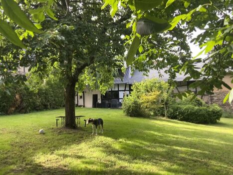 Uneinnehmbarer Garten zum Toben, 1,80m eingezäunt