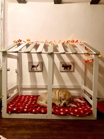 Hundebett im Wohnzimmer