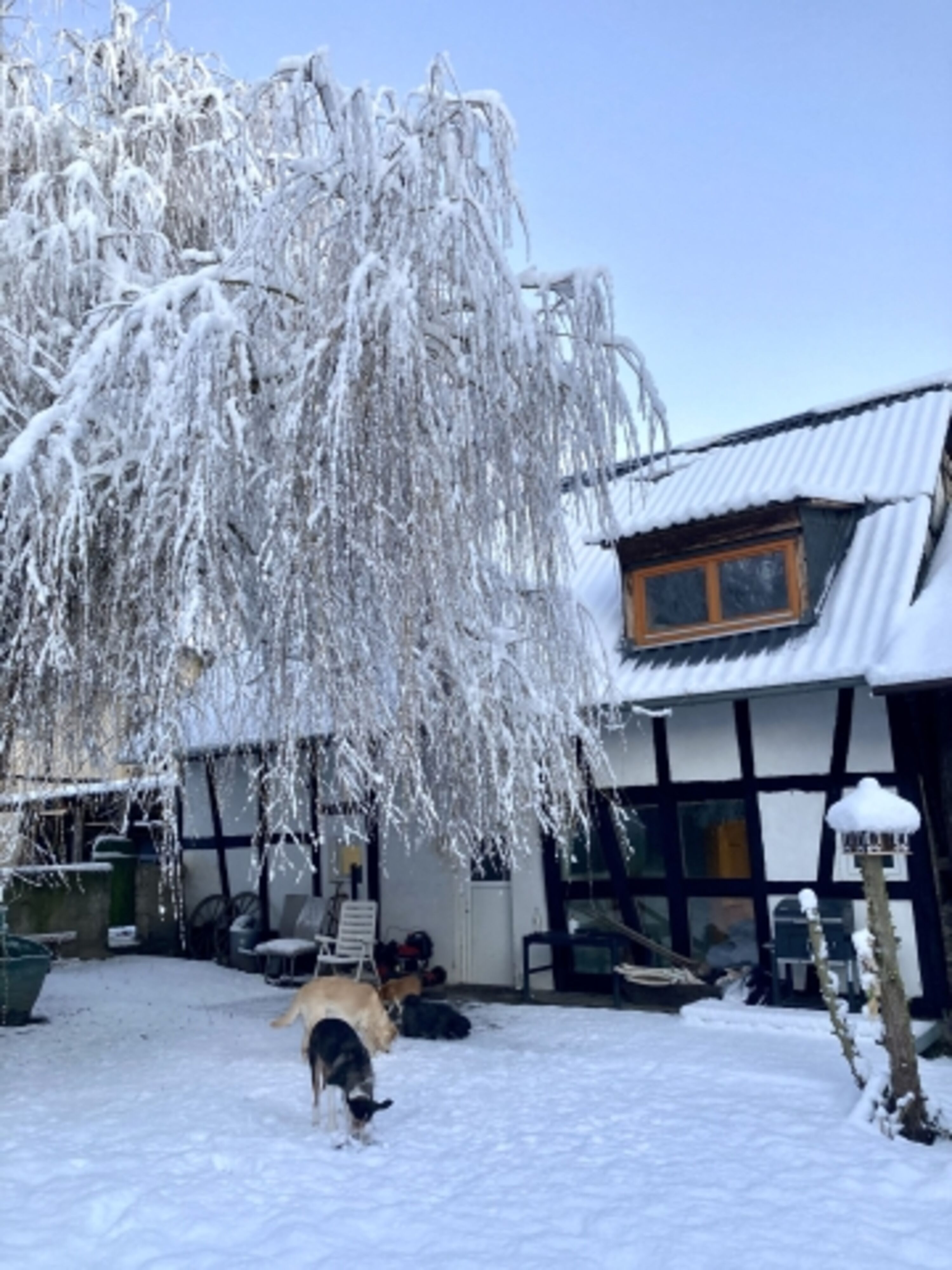 Garten im Winter